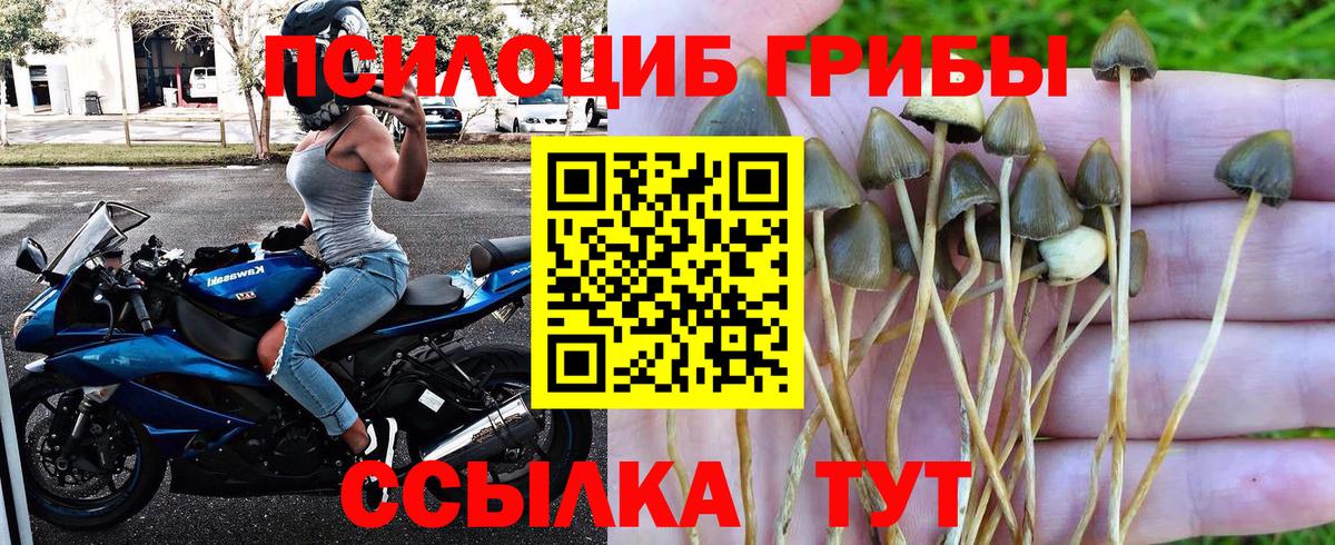 Ахтубинск  Псилоцибиновые грибы MAGIC MUSHROOMS  Галлюциногенные грибы мухоморы  Вход с VPN 